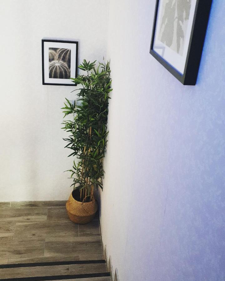 Alojamiento Weier La Cistérniga Exteriér fotografie